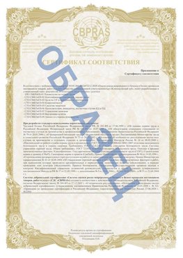Образец Приложение к СТО 01.064.00220722.2-2020 Бирск Сертификат СТО 01.064.00220722.2-2020 